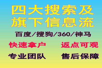 行业领先企业的SEM代运营经验分享